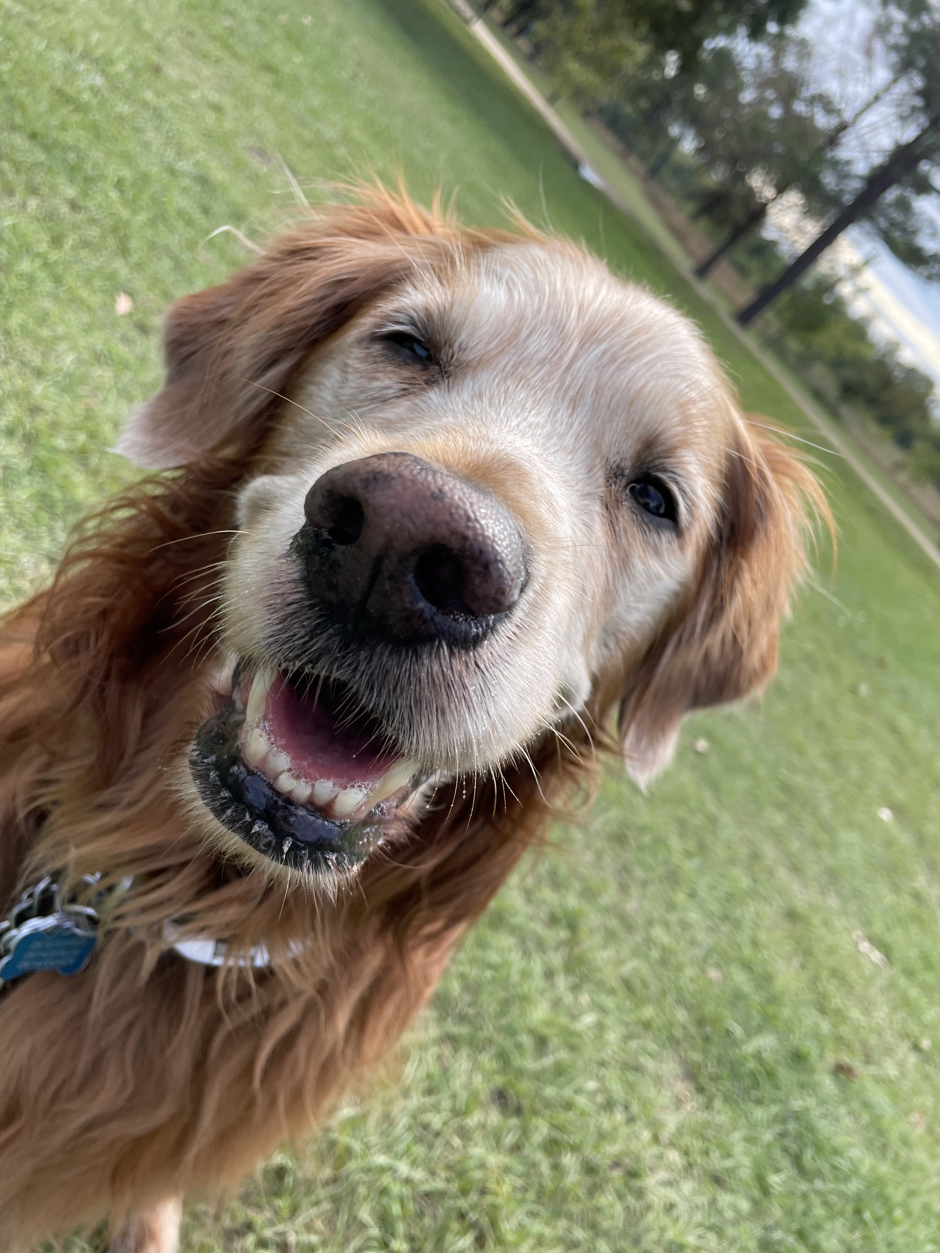 Pep, a long-time Greater Heights client