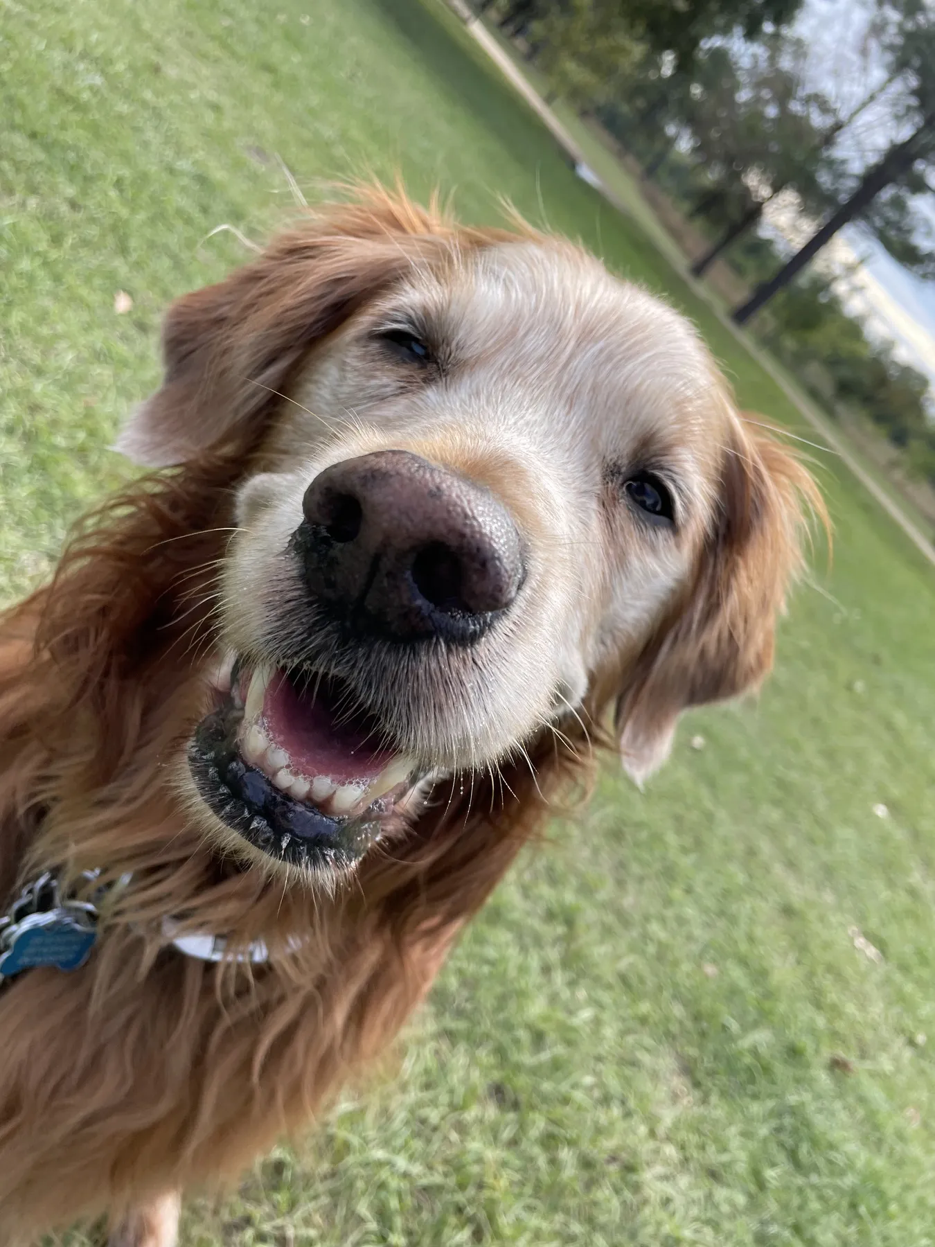 Pep, a long-time Greater Heights client